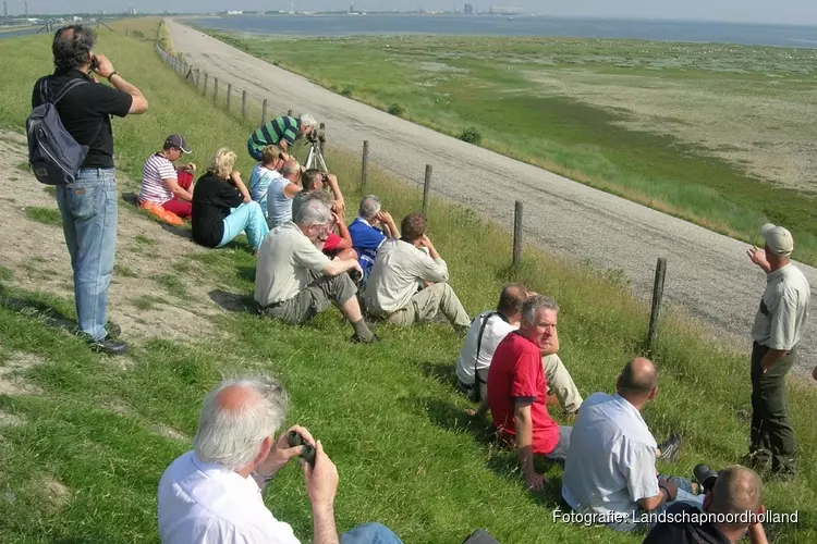 Vogelexcursie tijdens broedtijd op Balgzand