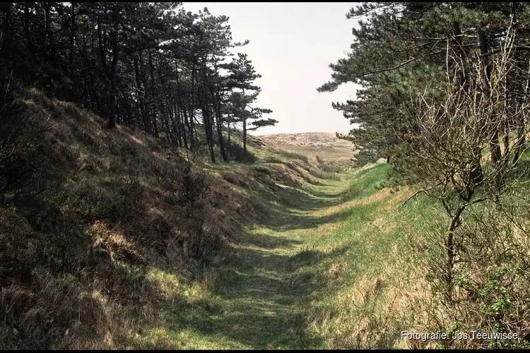 Beleef het blauwe uur in de duinen