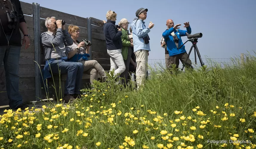 Welke vogels broeden er op de schorren?