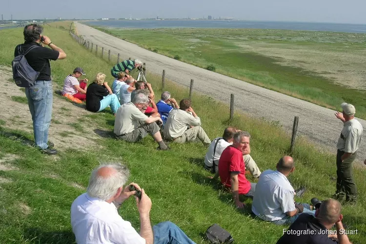 Komt de vogeltrek al weer op gang?