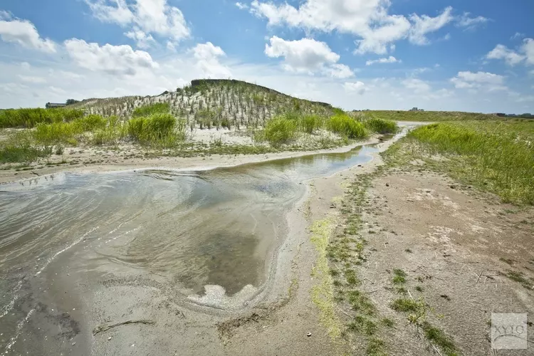 Zwerftocht langs nieuwe stadsnatuur