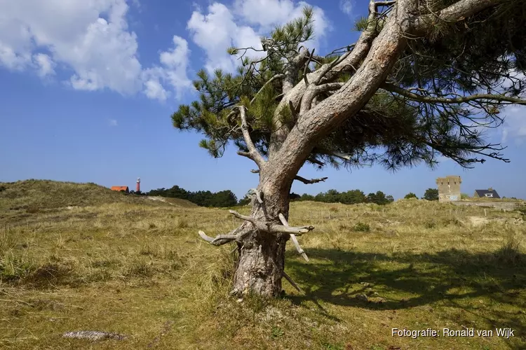 Zwerftocht langs de contouren van een oud eiland