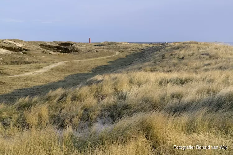 Ontdekkingstocht door herfstlandschap bij Den Helder