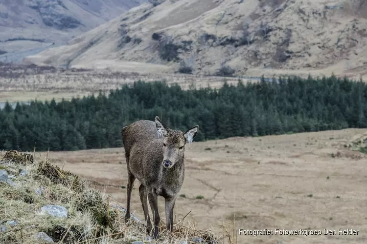 Fotowerkgroep toont series van Schotland, Engeland en Wales