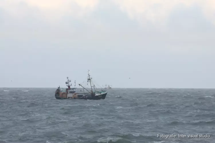 Ook vandaag geen duikactie in zoektocht naar vermiste vissers: "De wind is te hard"