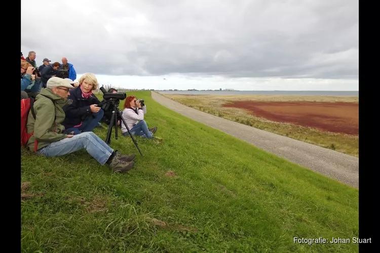 Excursie in vogelparadijs Balgzand