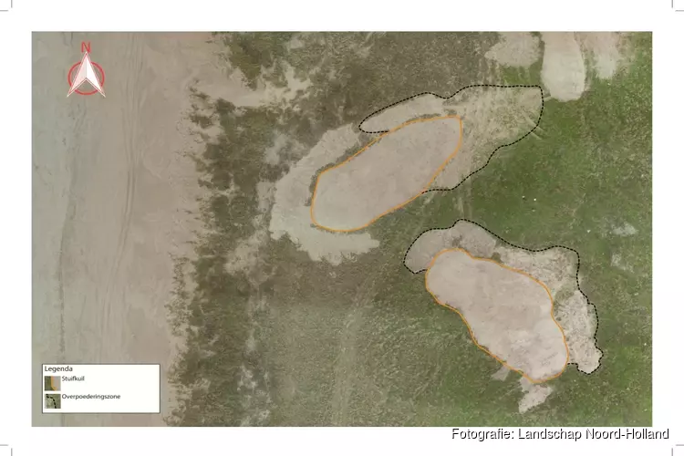 Dronebeelden laten eerste verstuiving in Noordduinen zien