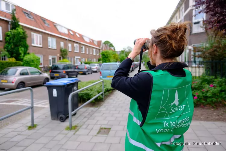 Doe mee met MUS: tellen in dorpen en steden voor wetenschap