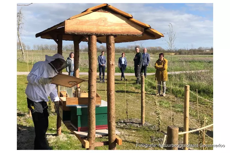 Natuurbegraafplaats Geestmerloo zorgt voor de bijtjes