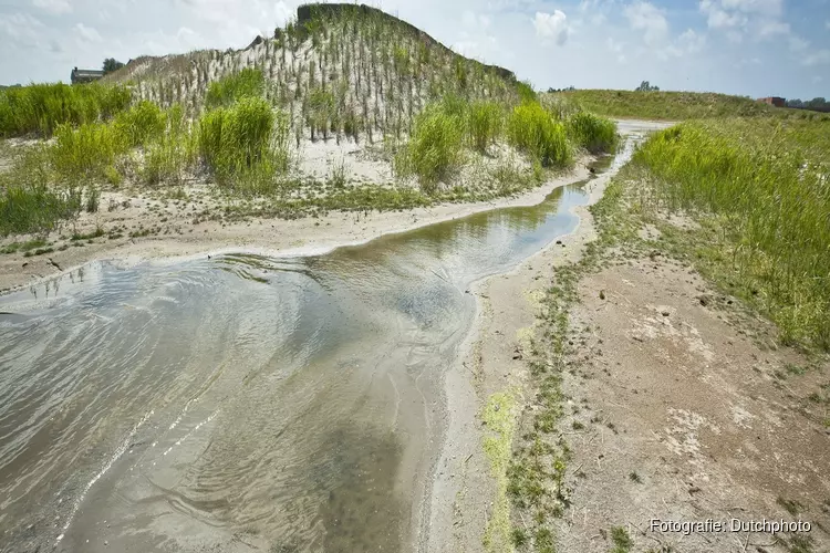 Zwerftocht langs de nieuwe stadsnatuur