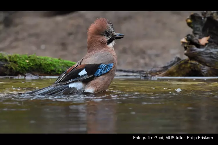 Lezing &#39;Natuurlijk Noord Nederland&#39; door Philip Friskorn