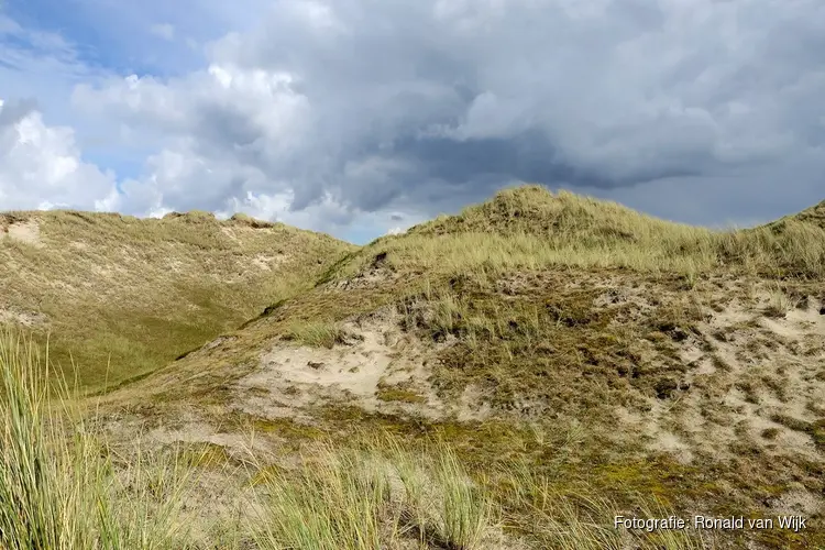 Vrijwilliger natuurbeheer rondom Den Helder