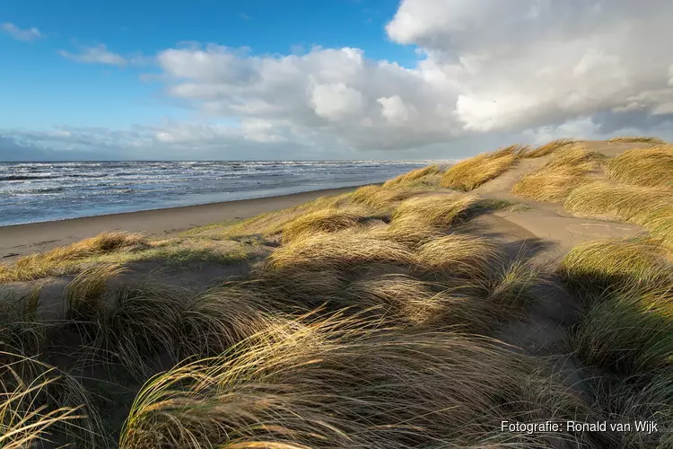 Eerste landelijke Dag van de Duinen op 18 september