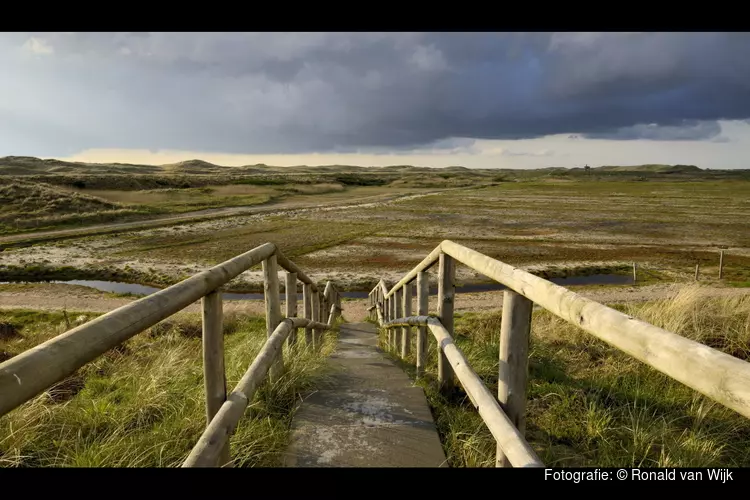 Wandelen in de Noordduinen Tijdens de Nacht van de Nacht