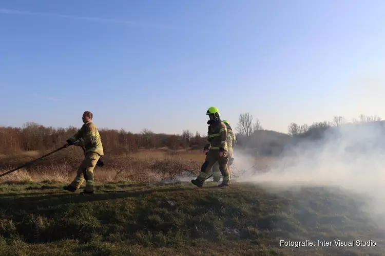 Duinbrand in Den Helder snel onder controle