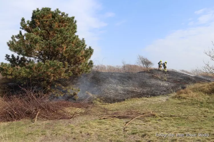 Flinke duinbrand in Den Helder, politie gaat uit van brandstichting