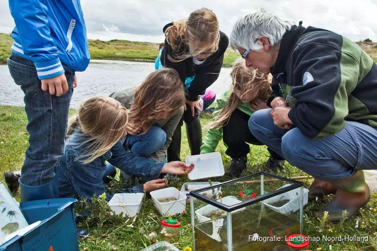 Waterbeestjes zoeken in Natuurgebied De Nollen bij Den Helder