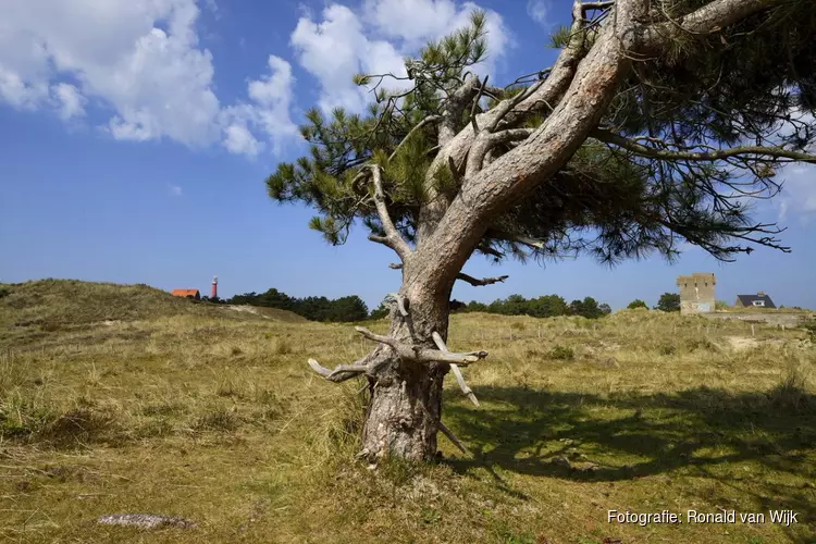 Zwerftocht door de Grafelijkheidsduinen bij Den Helder