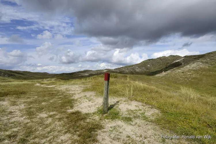 Wandel met een gids door de Noordduinen bij Den Helder