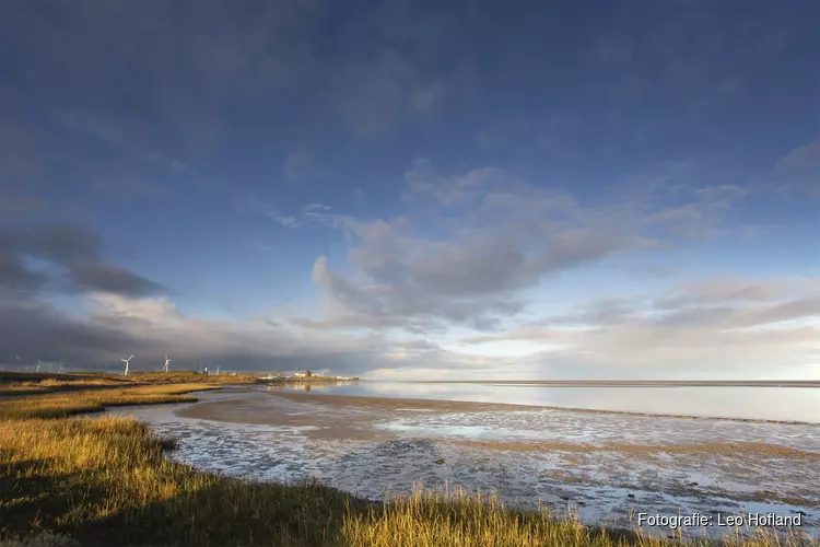 Bekijk de vogels op het Wad bij Balgzand in de winter