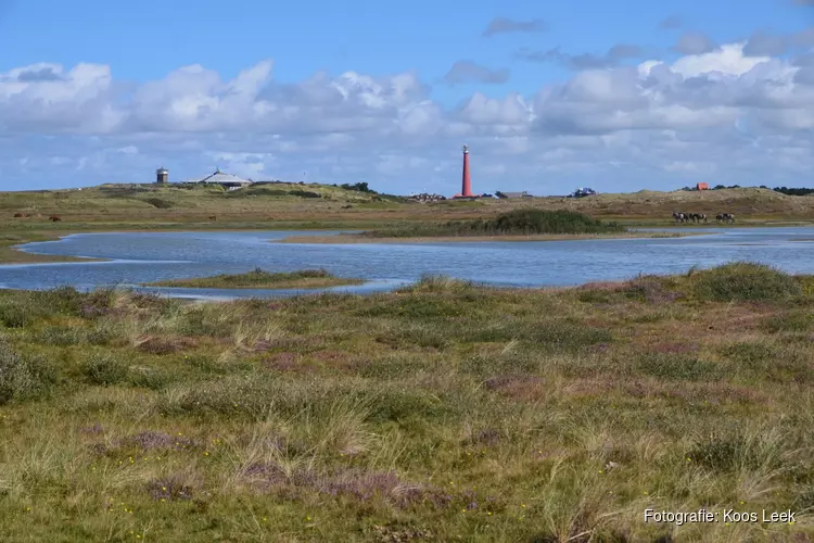 Wandeling met natuurgids door de Grafelijkheidsduinen bij Den Helder