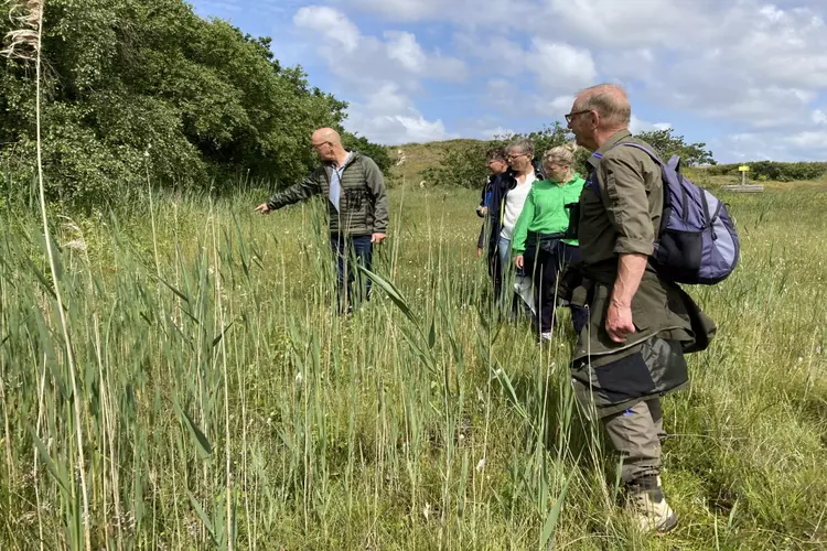 Bijzondere planten, dieren en verhalen van het Zwanenwater