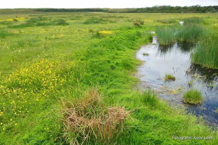 Wandel mee door prachtig natuurgebied Mariëndal bij Den Helder