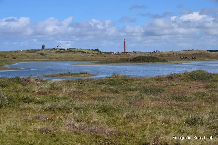 Zwerftocht met gids door de Grafelijkheidsduinen bij Den Helder