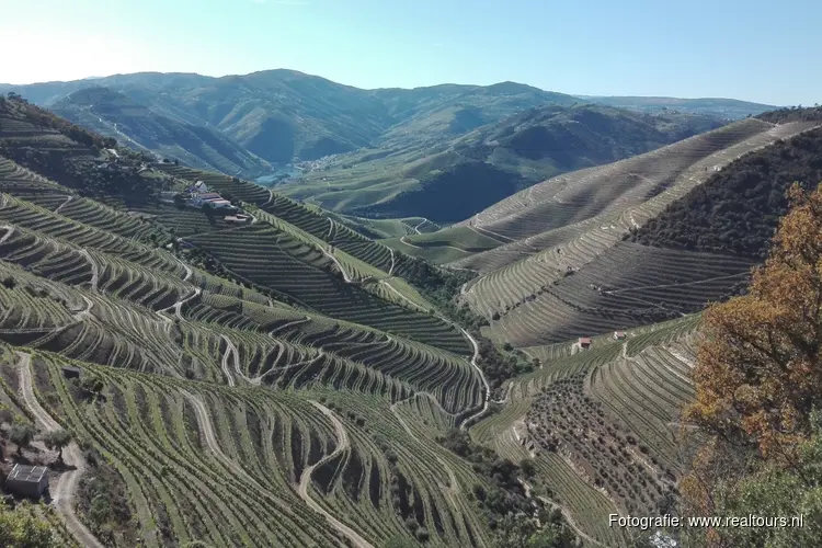 Authentiek Noord-Portugal: Het Douro Portwijngebied