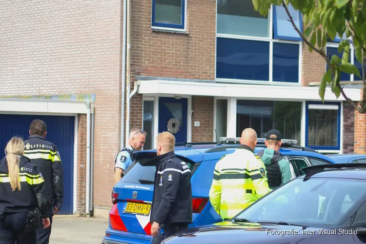 Verdachte van diefstal aangehouden in Den Helder