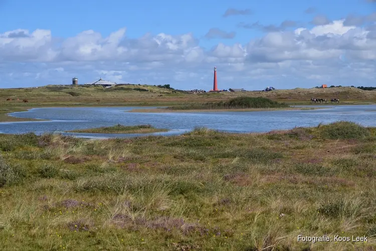 Zwerf mee door de Grafelijkheidsduinen bij Den Helder