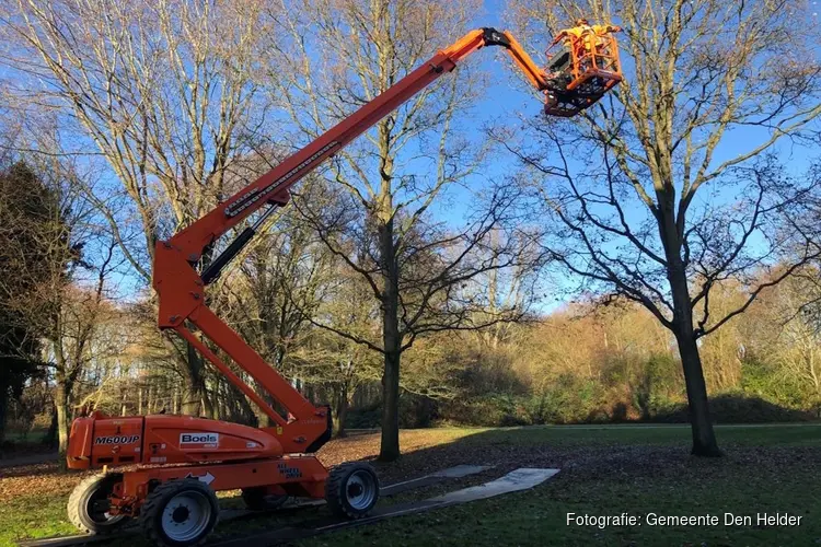 Snoeien bomen in Stad binnen de Linie