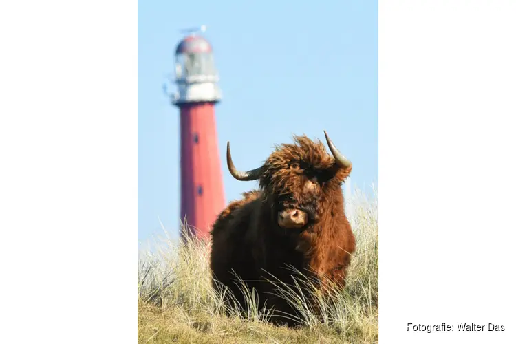 Winterwandeling met gids door de prachtige natuur van de Noordkop