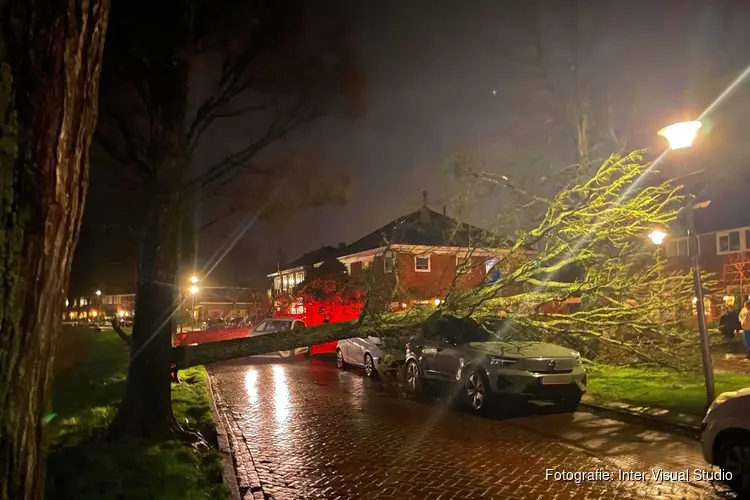 Omgewaaide bomen zorgen voor forse schade in Den Helder