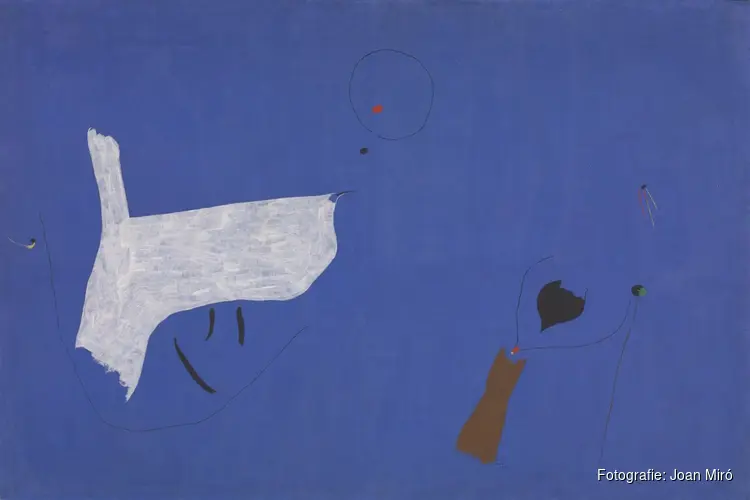 Kunstlezing Joan Miró