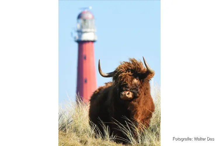 Winterwandeling met gids door de prachtige natuur van de Noordkop