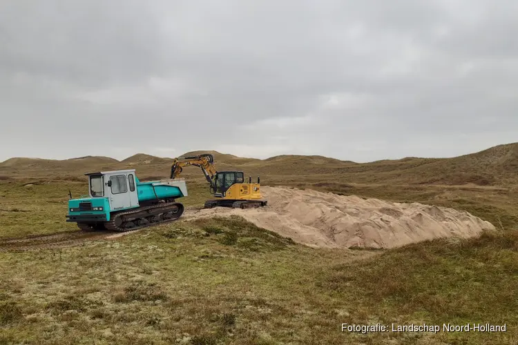 Opnieuw Invasieve exoten opruimen in de Noordduinen