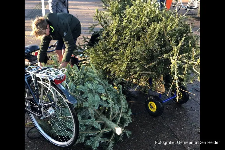 Uitslag kerstbomenactie ‘Sleep je groen’ 2024