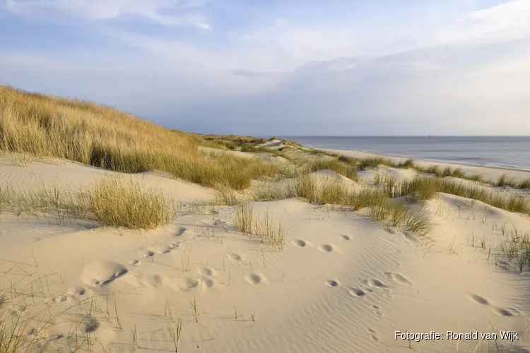 Wandeling door de Noordduinen 9 februari 2025