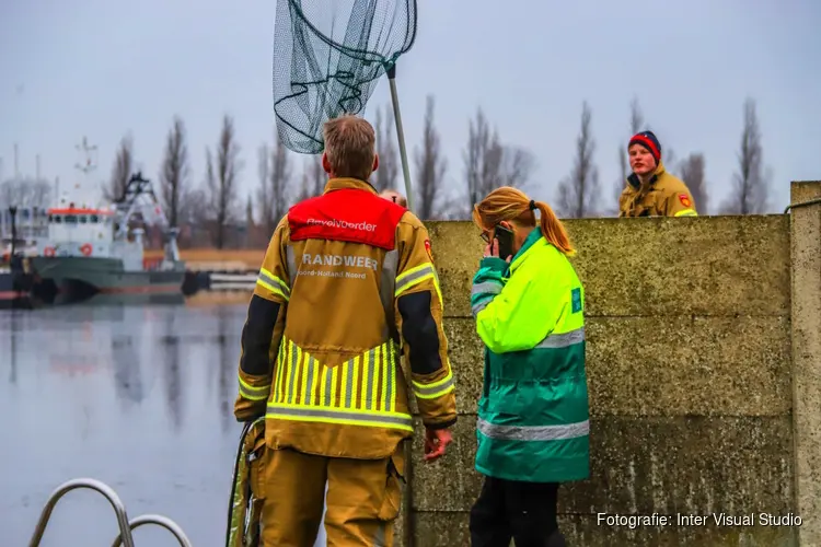 Brandweer Den Helder en dierenambulance in actie voor kat