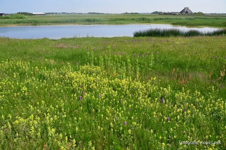 Uitbreiding Natuurgebied de Zandpolder: nieuwe natuur in de maak