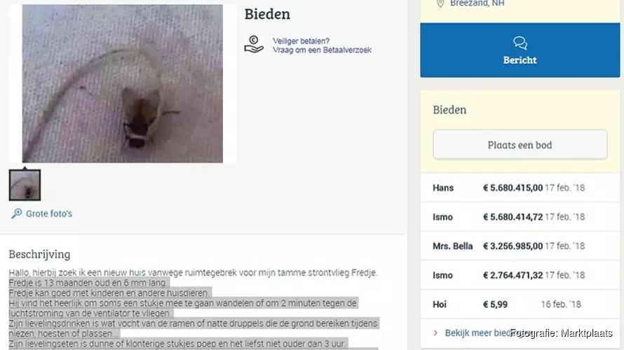 Te koop via Marktplaats: tamme strontvlieg Fredje