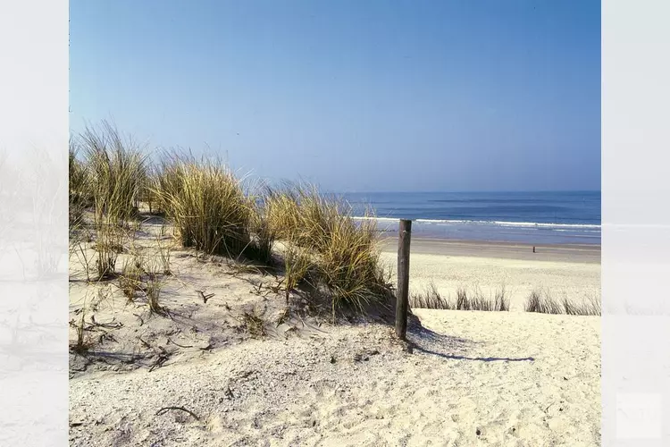 Den Helder gaat strandgangen vrij van explosieven maken