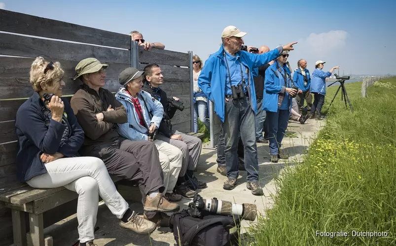 Eerste trekvogels op Balgzand?