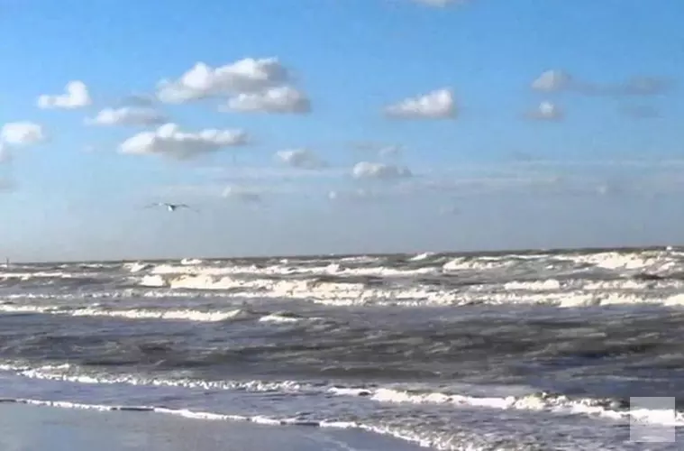 Geen explosieven gevonden op strand Den Helder: "Maar we gaan door"