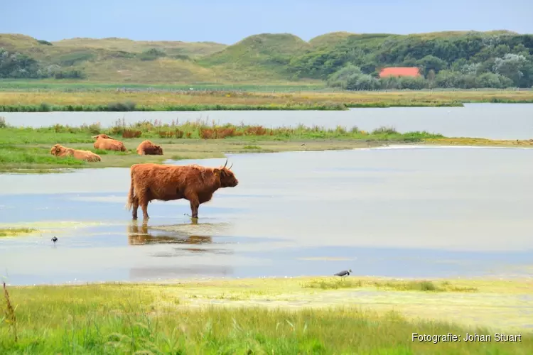 Expeditie op laarzen door Mariëndal