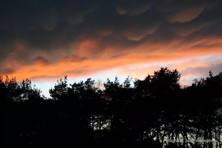 Nachtelijke wandeling in de Helderse duinen