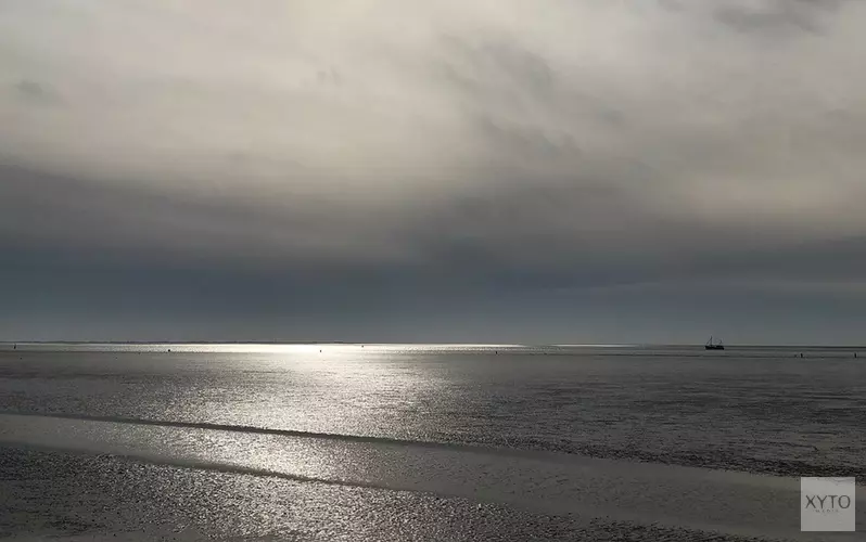 Bedrijven havengebied Den Helder vervangen licht voor &#39;donkerder Waddengebied&#39;