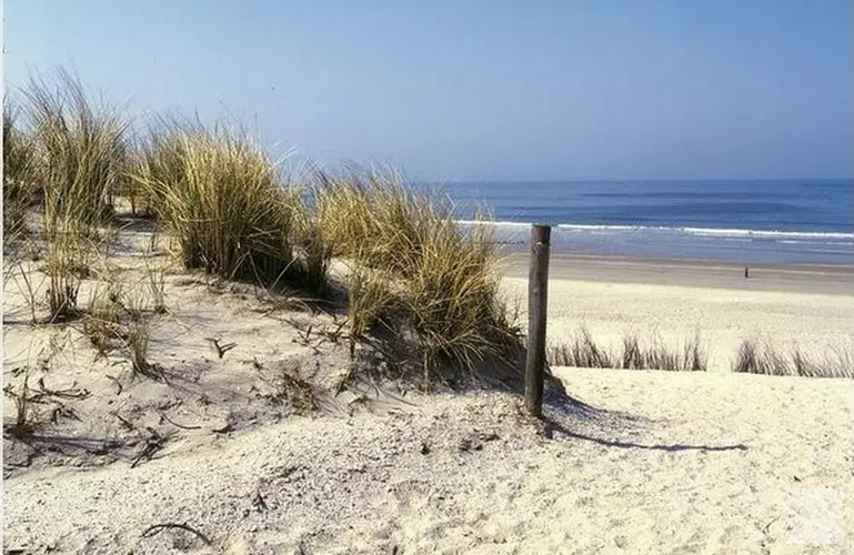 Weer drie explosieven gevonden: "Strand Den Helder nog lang niet schoon"